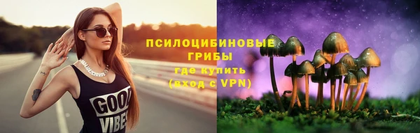 МДПВ Алексин