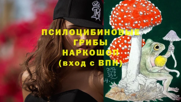 круглые Алзамай
