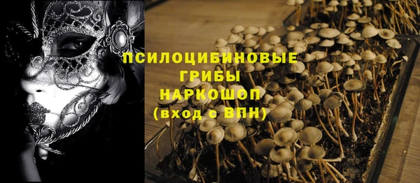 МДПВ Алексин