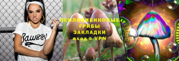 круглые Алзамай