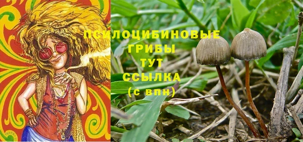 МДПВ Алексин